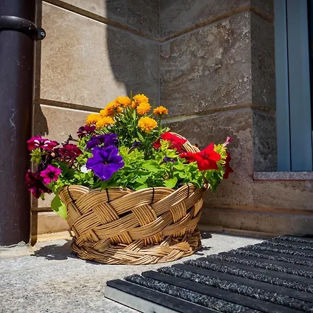 Flora Affittacamere