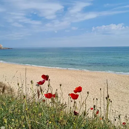 Flora Affittacamere Sozopol