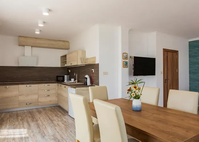 Flora 게스트하우스 소조폴