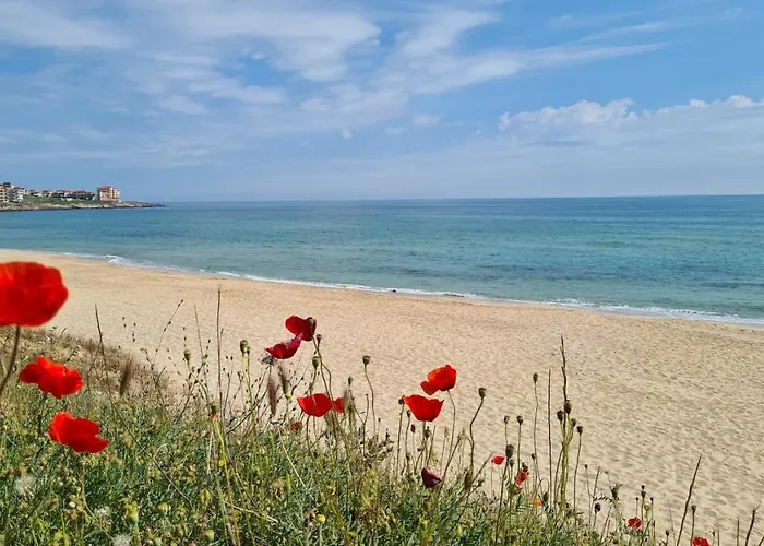 Flora Гостевой дом Созополь