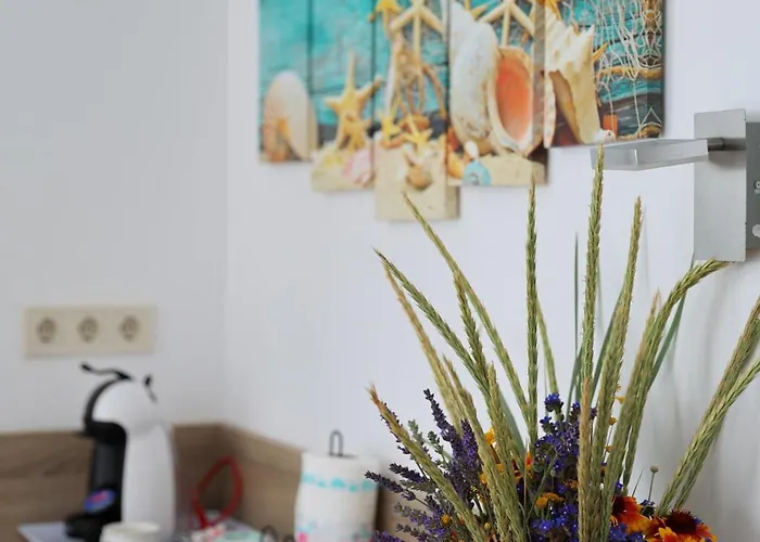 게스트하우스 Flora